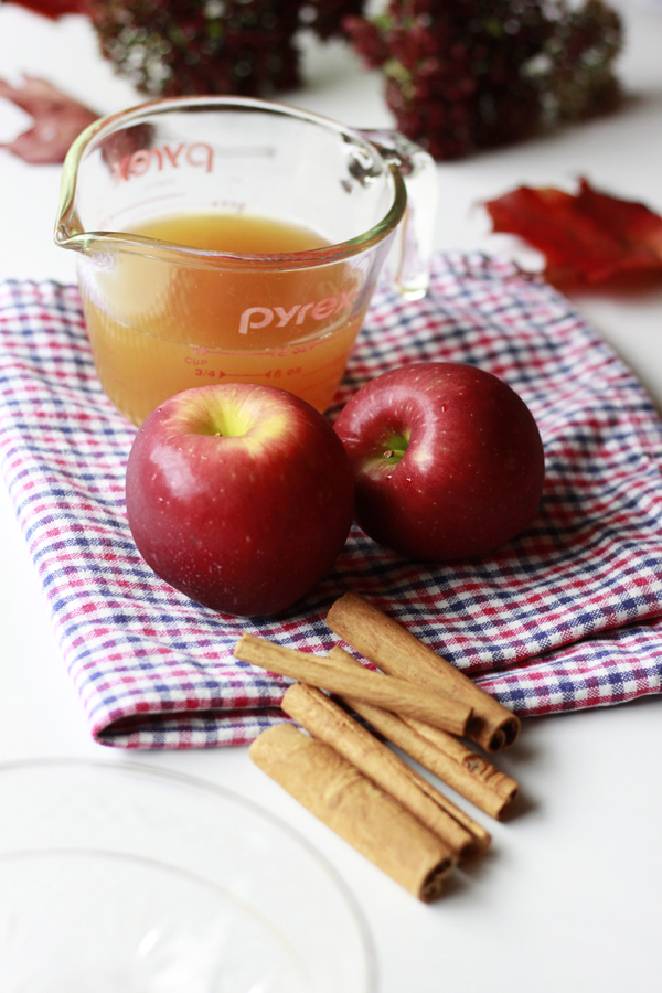 Two apples scatterd on  table with measuring cup filled with apple cider. Checkered red and blue cloth. Cinnamon sticks are in the foreground and red leaves are blurry in the background. 