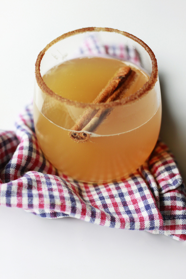 Fizzing apple cider in a cup with a cinnamon sugar stick and a cinnamon sticks floating in the cider. checkered red and blue cloth undernieth. 