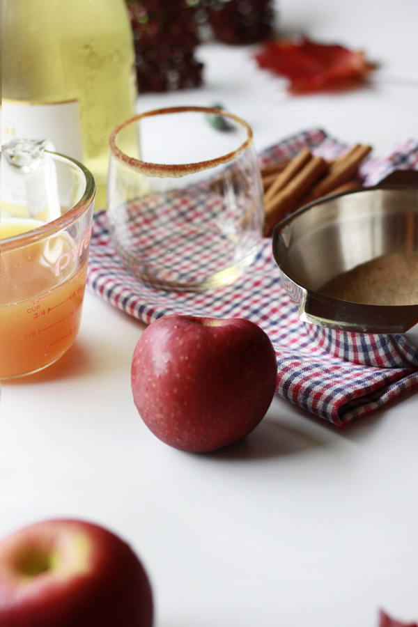 Apples scatterd on the table with measuring cup filled with apple cider. Checkered red and blue cloth. A glass with cinnamon sugar on the rim, cinimon sticks and a cup of cinnamon sugar are on top