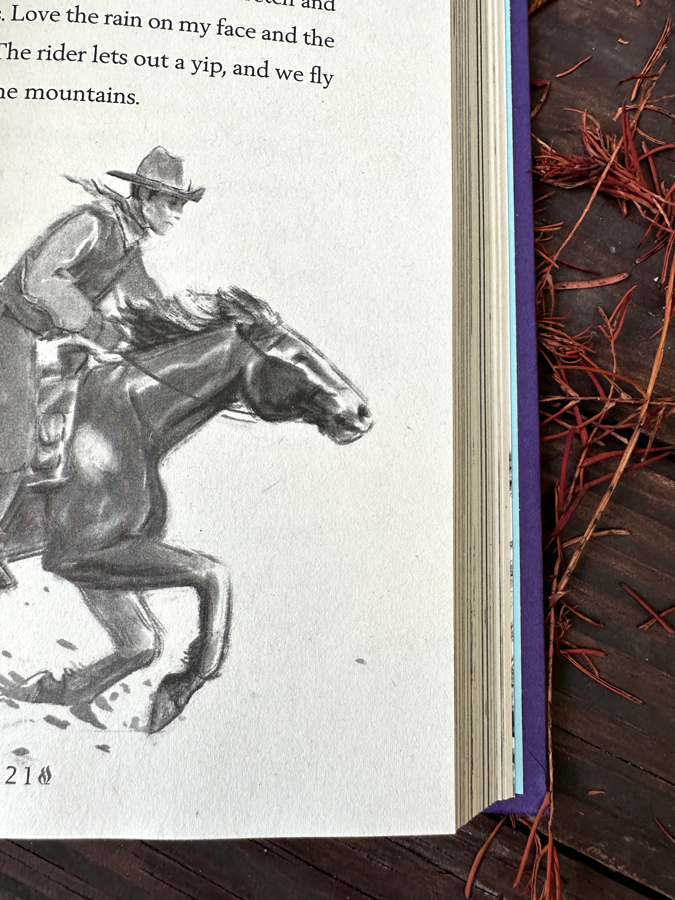 An open page of the book a Horse Named Sky black and white illustration of a young man riding a horse.