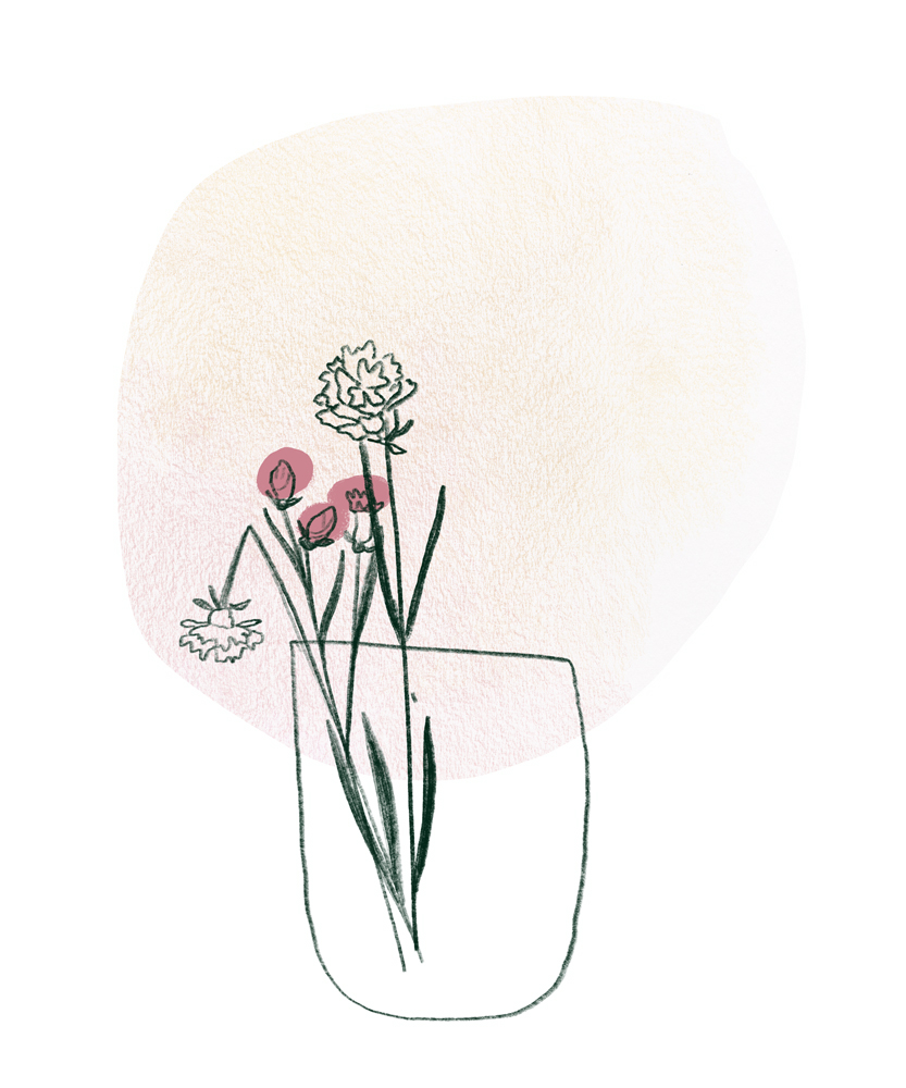 Line drawing of carnations, peony and daisy flowers in a vase. Flower buds are colored pink.