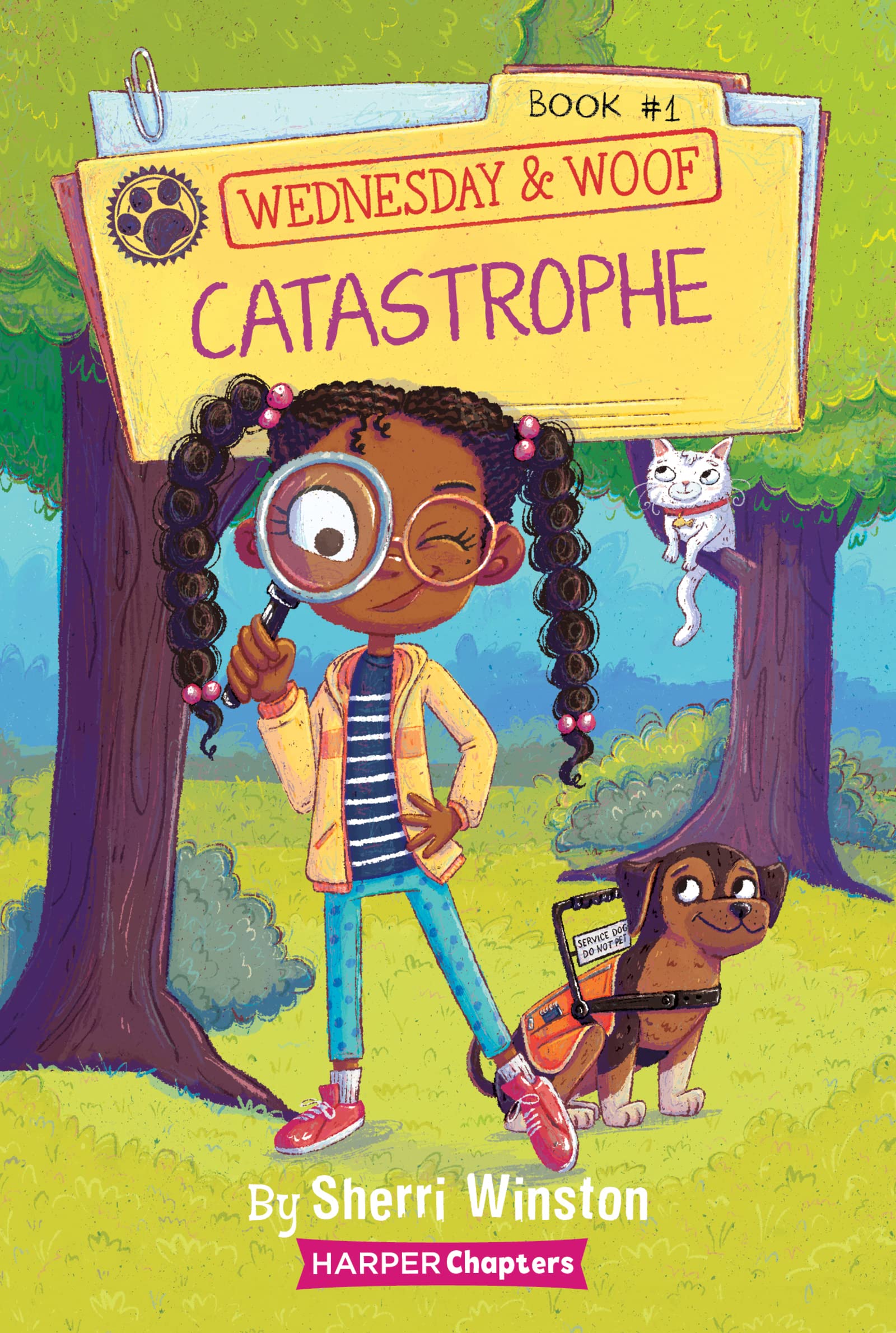 Wednesday and Woof #1: Catastrophe [Book]