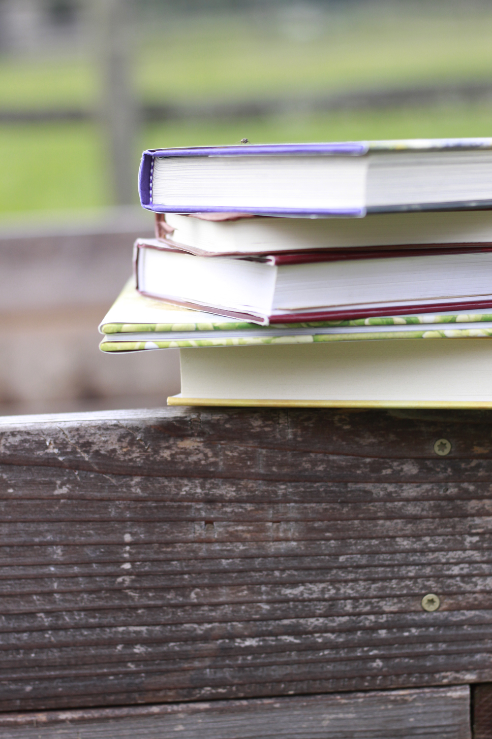Better than the Classics: Heartwarming Horse Books For Kids