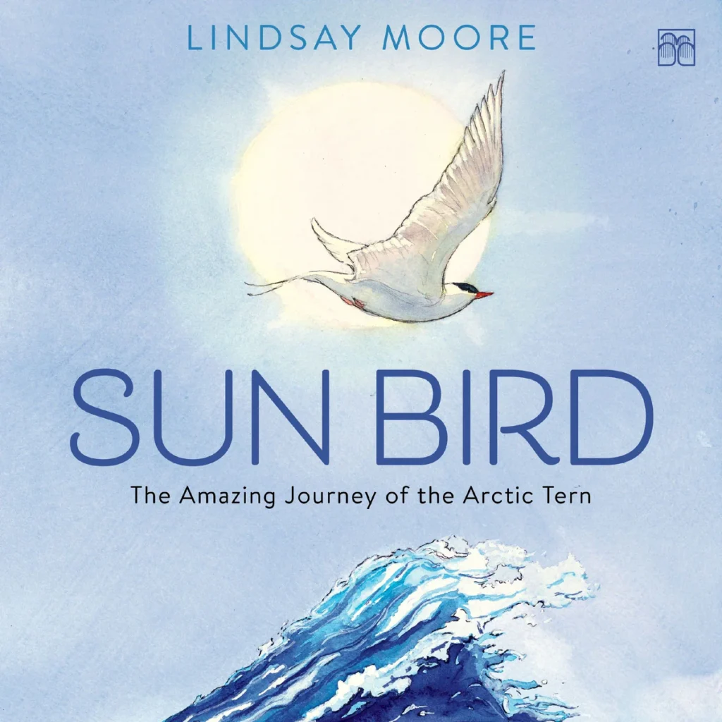 a sunbird flies infront of the sun and an ocen wave comes up from the bottom of the cover. Sunbird the amazing journey of the artic tern. 